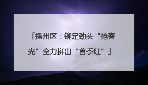 播州区：铆足劲头“抢春光”全力拼出“首季红”