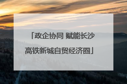 政企协同 赋能长沙高铁新城自贸经济圈
