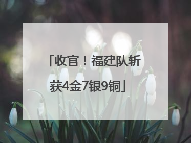 收官！福建队斩获4金7银9铜