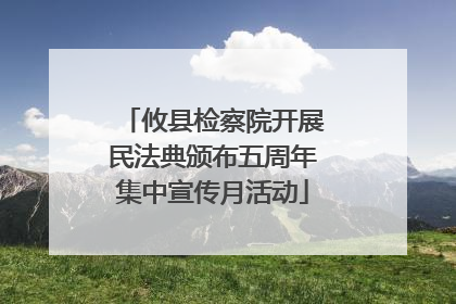 攸县检察院开展民法典颁布五周年集中宣传月活动