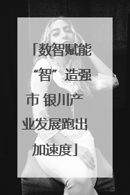数智赋能“智”造强市 银川产业发展跑出加速度