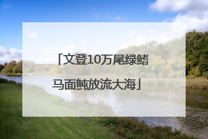 文登10万尾绿鳍马面鲀放流大海