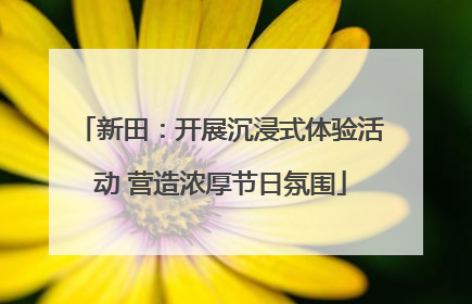 新田：开展沉浸式体验活动 营造浓厚节日氛围