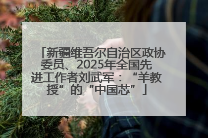 新疆维吾尔自治区政协委员、2025年全国先进工作者刘武军：“羊教授”的“中国芯”