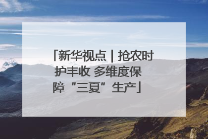 新华视点｜抢农时 护丰收 多维度保障“三夏”生产