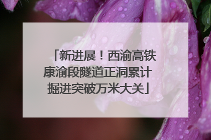 新进展！西渝高铁康渝段隧道正洞累计掘进突破万米大关
