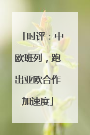 时评：中欧班列，跑出亚欧合作加速度