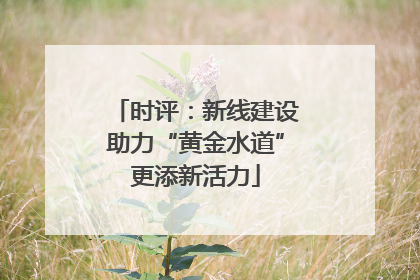 时评：新线建设助力“黄金水道”更添新活力