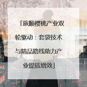 旅顺樱桃产业双轮驱动：套袋技术与精品路线助力产业提质增效