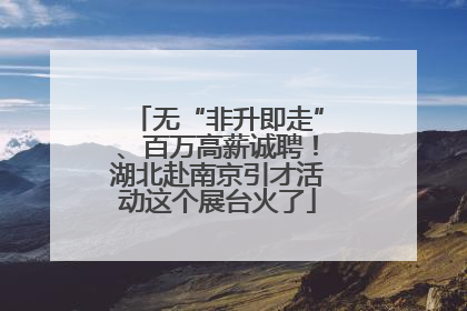 无“非升即走”、百万高薪诚聘！湖北赴南京引才活动这个展台火了