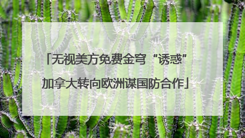 无视美方免费金穹“诱惑” 加拿大转向欧洲谋国防合作