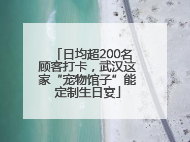 日均超200名顾客打卡，武汉这家“宠物馆子”能定制生日宴