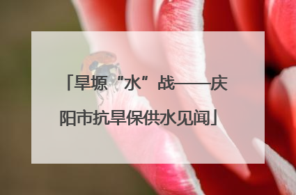 旱塬“水”战——庆阳市抗旱保供水见闻