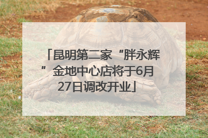 昆明第二家“胖永辉”金地中心店将于6月27日调改开业