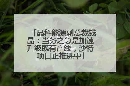 晶科能源副总裁钱晶：当务之急是加速升级既有产线，沙特项目正推进中