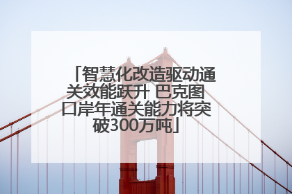 智慧化改造驱动通关效能跃升 巴克图口岸年通关能力将突破300万吨
