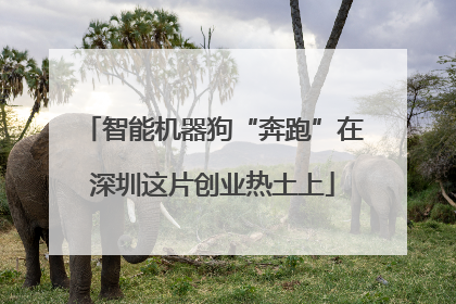 智能机器狗“奔跑”在深圳这片创业热土上