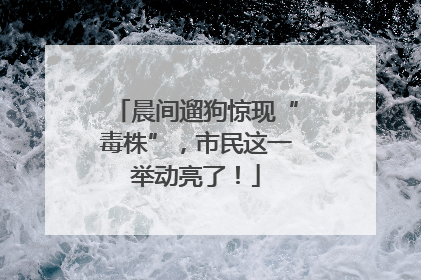 晨间遛狗惊现“毒株”，市民这一举动亮了！