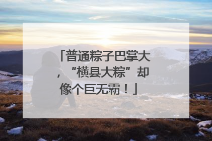普通粽子巴掌大，“横县大粽”却像个巨无霸！