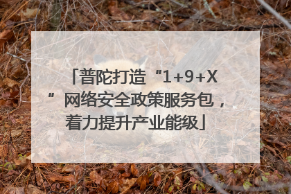 普陀打造“1+9+X”网络安全政策服务包，着力提升产业能级