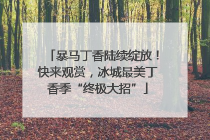 暴马丁香陆续绽放！快来观赏，冰城最美丁香季“终极大招”