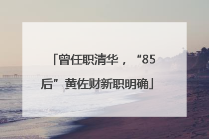 曾任职清华，“85后”黄佐财新职明确