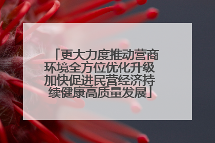 更大力度推动营商环境全方位优化升级加快促进民营经济持续健康高质量发展