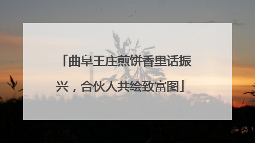 曲阜王庄煎饼香里话振兴，合伙人共绘致富图