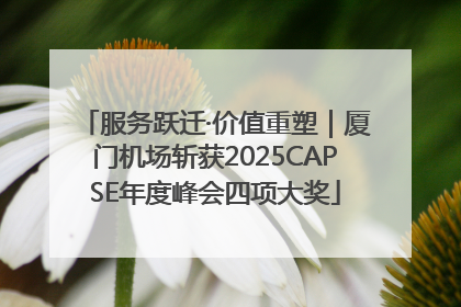 服务跃迁·价值重塑｜厦门机场斩获2025CAPSE年度峰会四项大奖