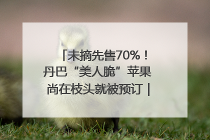 未摘先售70%！丹巴“美人脆”苹果尚在枝头就被预订｜长征路上看四川