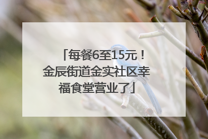 每餐6至15元！金辰街道金实社区幸福食堂营业了