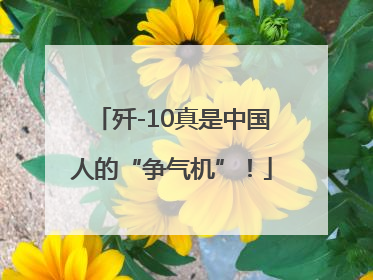 歼-10真是中国人的“争气机”！