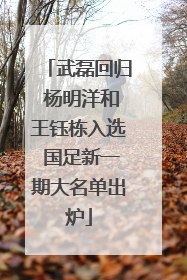 武磊回归 杨明洋和王钰栋入选 国足新一期大名单出炉