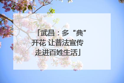 武昌：多“典”开花 让普法宣传走进百姓生活