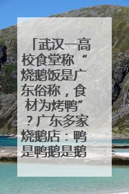 武汉一高校食堂称“烧鹅饭是广东俗称，食材为烤鸭”？广东多家烧鹅店：鸭是鸭鹅是鹅