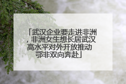 武汉企业要走进非洲，非洲女生想长居武汉 高水平对外开放推动鄂非双向奔赴