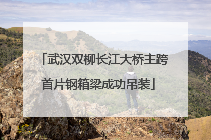 武汉双柳长江大桥主跨首片钢箱梁成功吊装