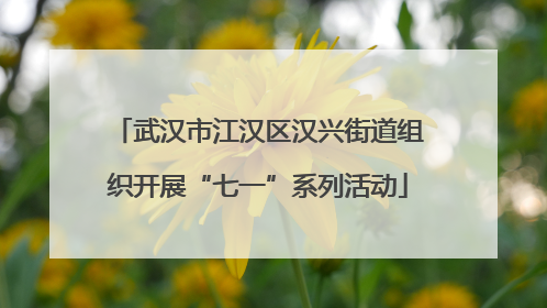 武汉市江汉区汉兴街道组织开展“七一”系列活动
