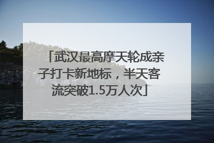 武汉最高摩天轮成亲子打卡新地标，半天客流突破1.5万人次