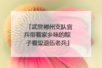 武警郴州支队官兵带着家乡味的粽子看望退伍老兵