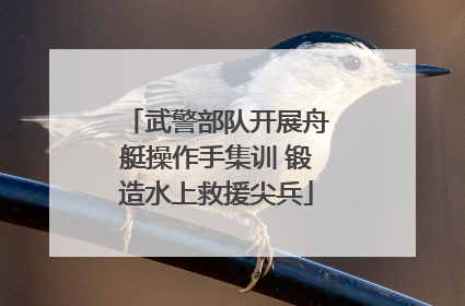 武警部队开展舟艇操作手集训 锻造水上救援尖兵