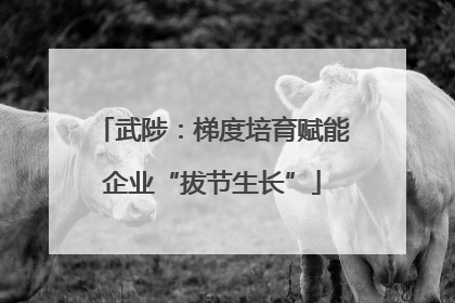 武陟：梯度培育赋能企业“拔节生长”