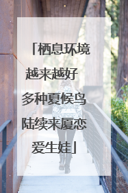 栖息环境越来越好 多种夏候鸟陆续来厦恋爱生娃