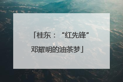 桂东：“红先锋”邓耀明的油茶梦