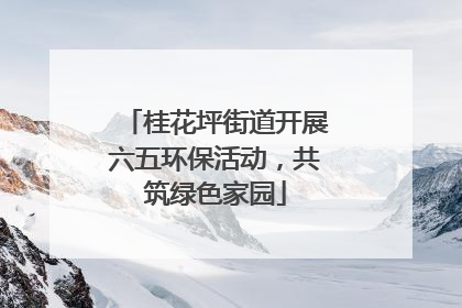 桂花坪街道开展六五环保活动，共筑绿色家园