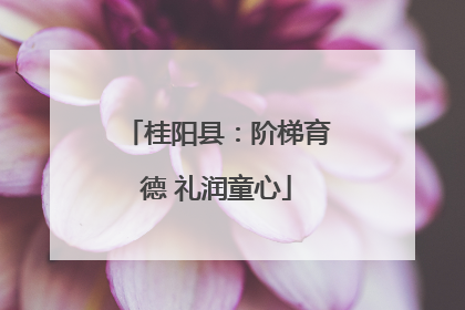 桂阳县：阶梯育德 礼润童心