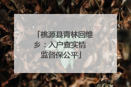 桃源县青林回维乡：入户查实情 监督保公平