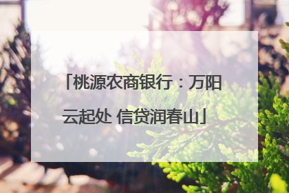 桃源农商银行：万阳云起处 信贷润春山