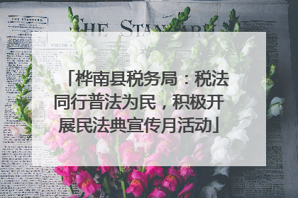 桦南县税务局：税法同行普法为民，积极开展民法典宣传月活动