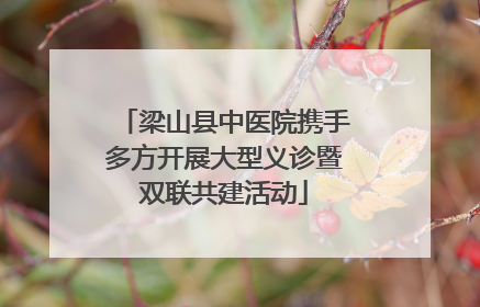梁山县中医院携手多方开展大型义诊暨双联共建活动